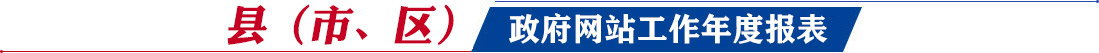 縣（市、區(qū)）網(wǎng)站工作年度報(bào)表